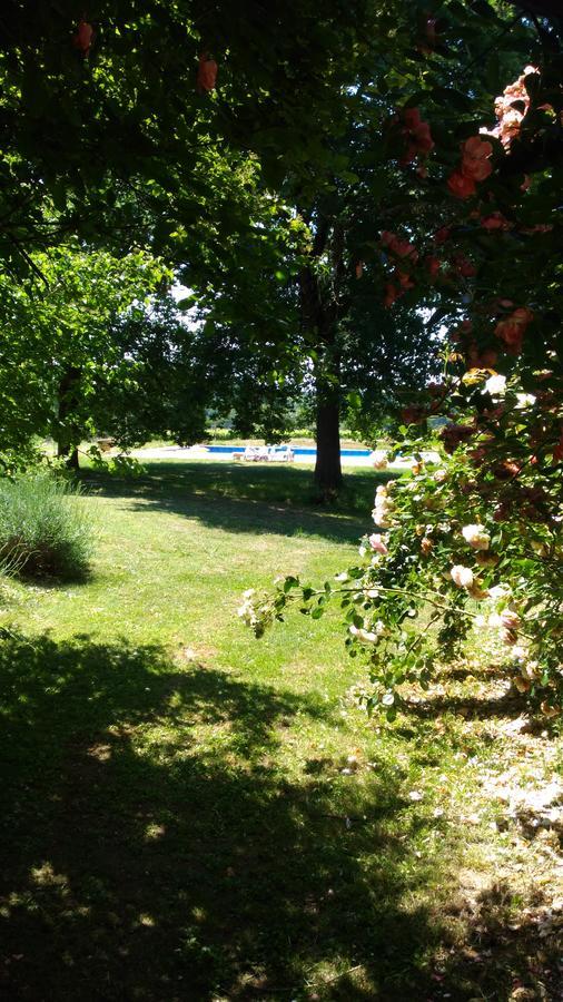 Bed and Breakfast Domaine Du Have Sainte-Christie-d'Armagnac Экстерьер фото